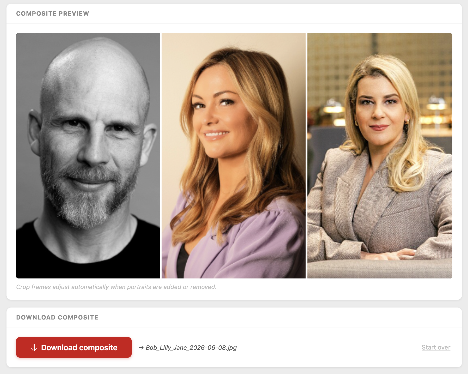 Composite preview and download section
